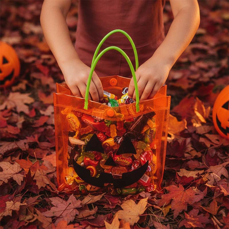 PVC Pumpkin Handle Bag