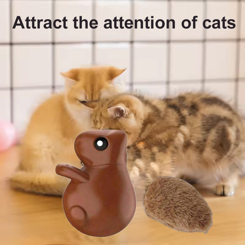 Squirrel Smart Cat Toy