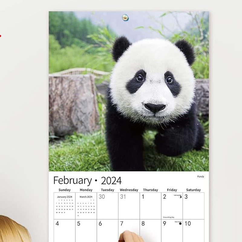 2024 Animals Wall Calendar
