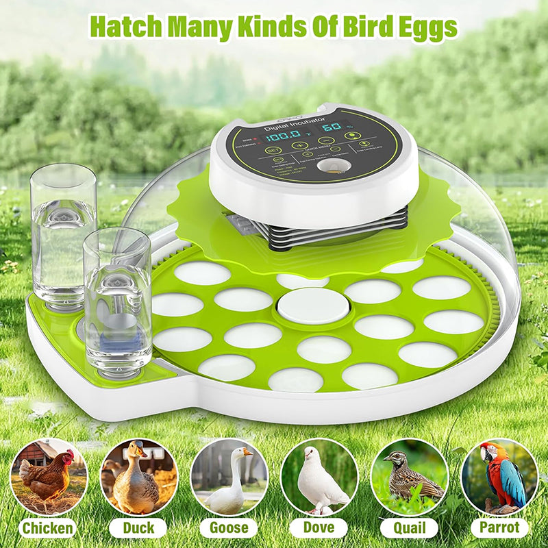 18-Piece Fully Automatic Egg Incubator