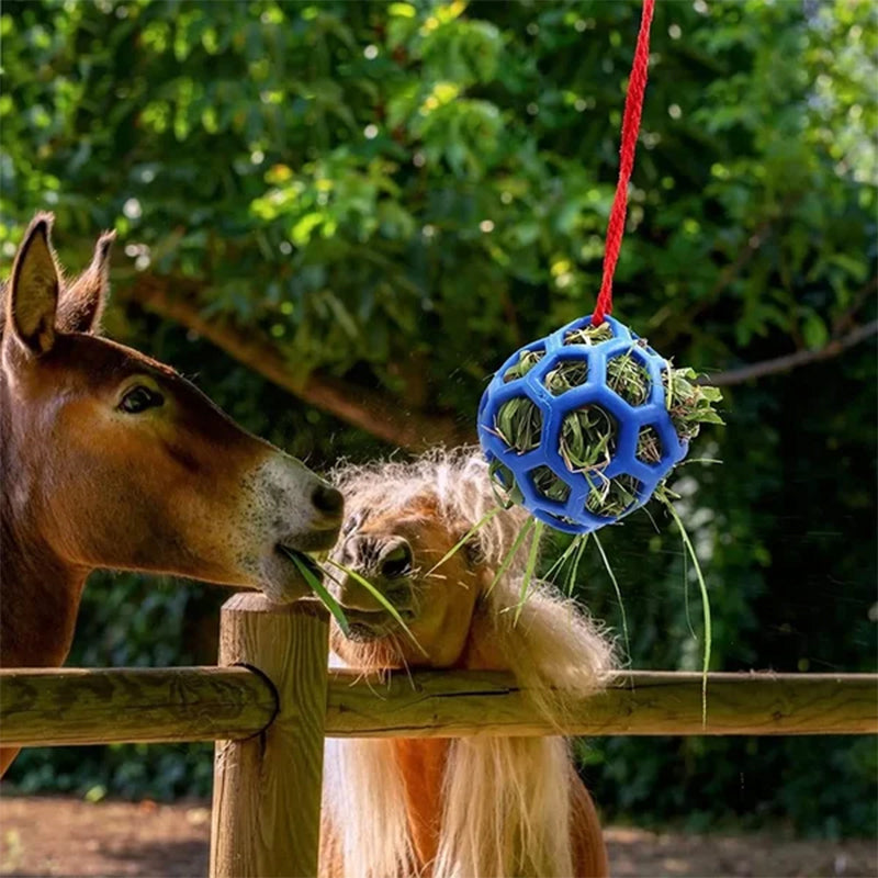 Horse Treat Ball