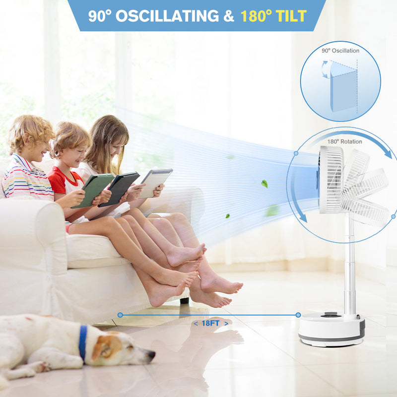 Portable Folding Fan