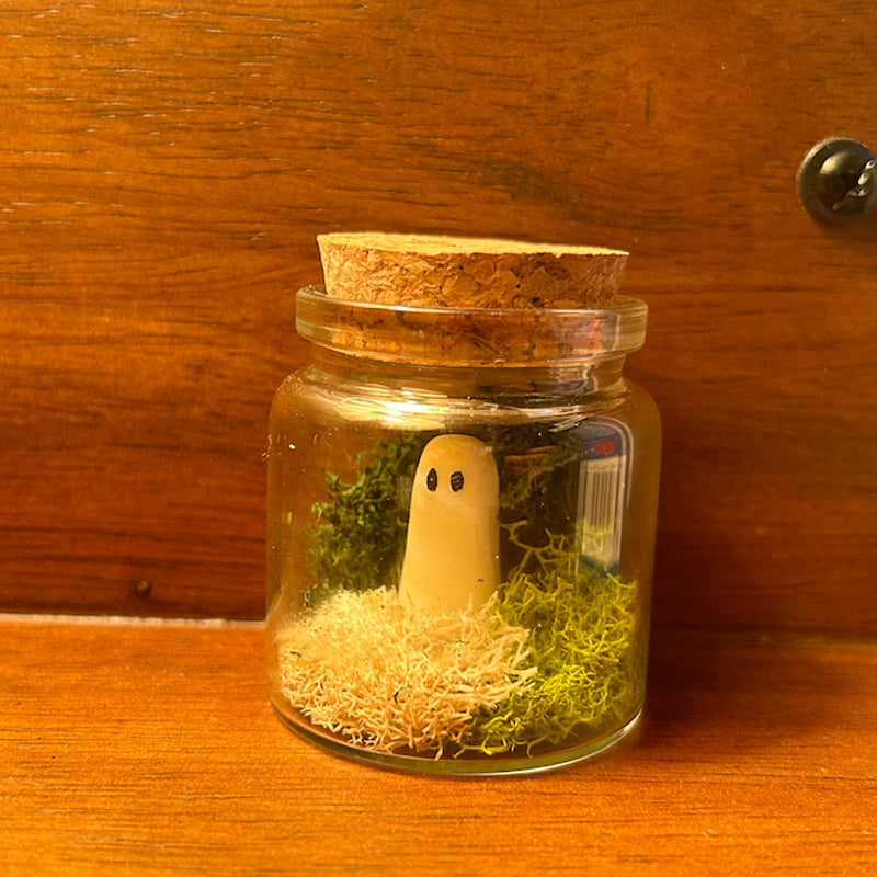 Mini Pet Ghosts in a Jar