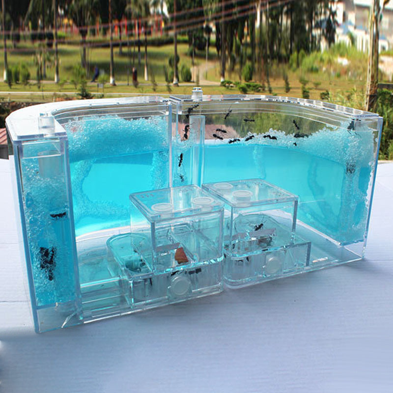 Ant Home Ecological Toys
