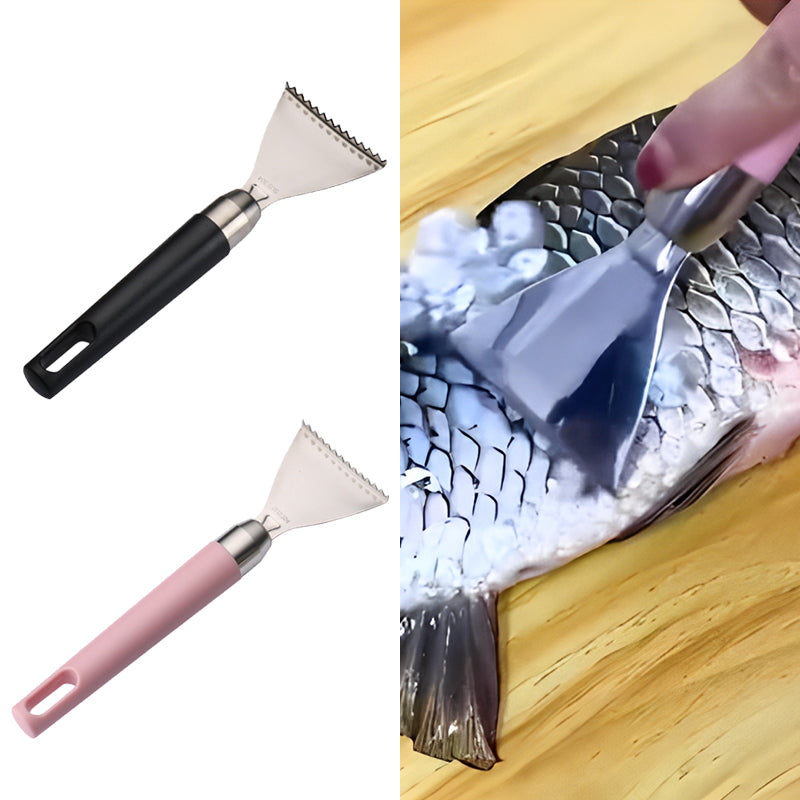 NEW Stainless steel fish scale scraper