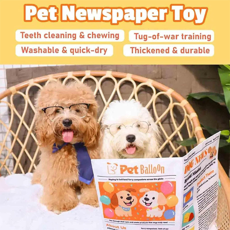 Interactive pet newspaper toy
