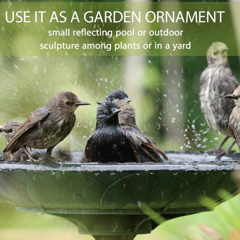 Bird Bath Outdoor