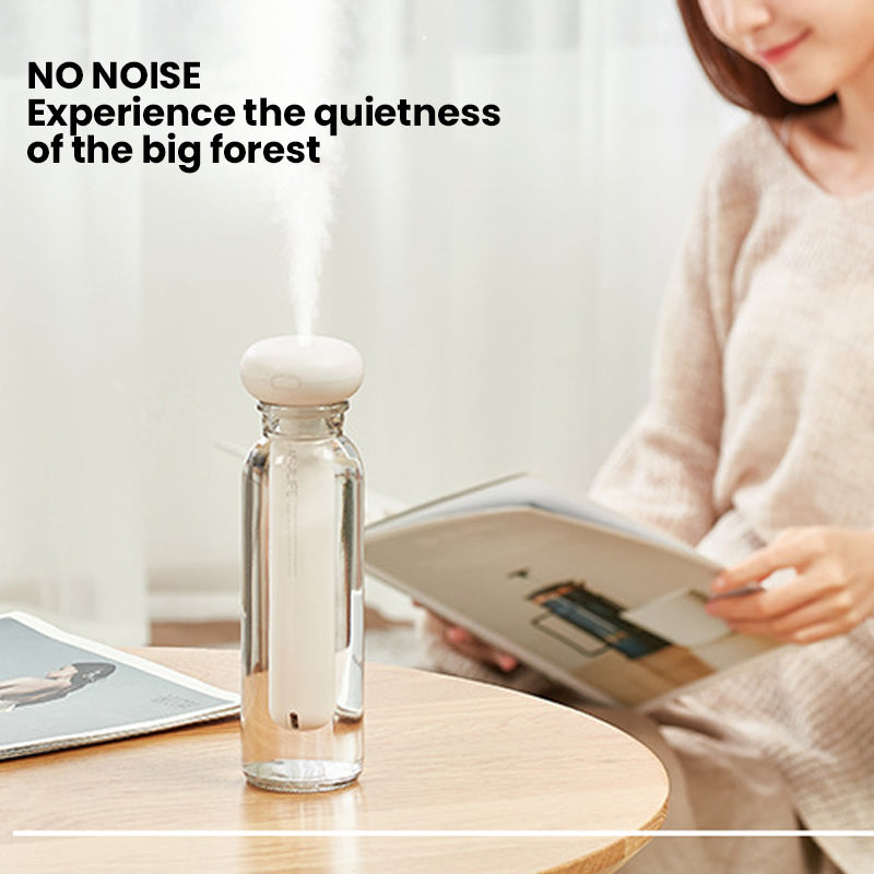 Portable Charging Hydrating Humidifier