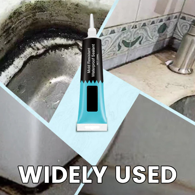 Anti-mold and waterproof sealant