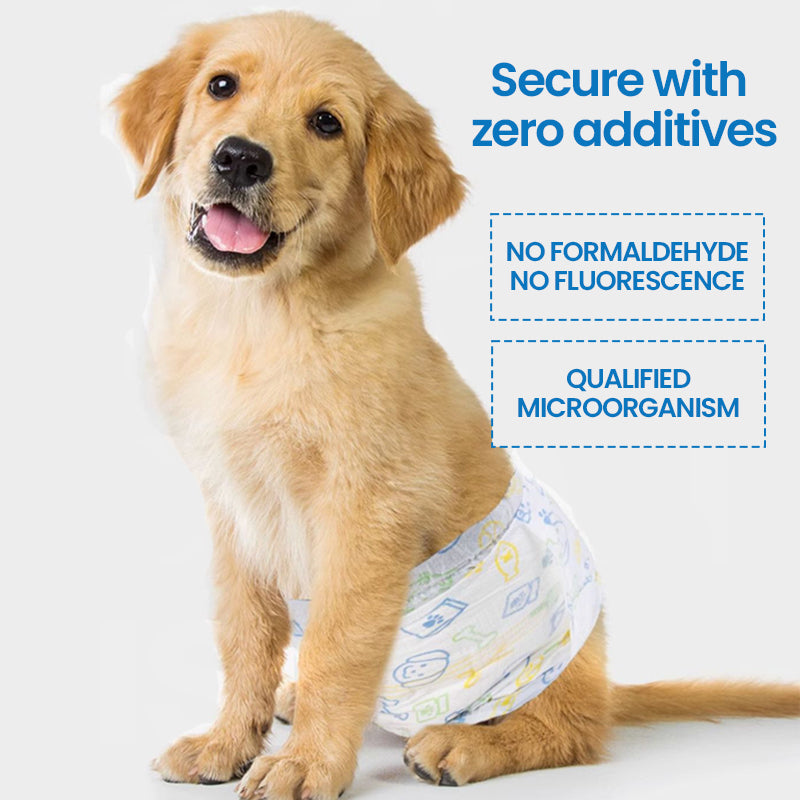Leak-Proof & Fast-Absorb Pet Diapers