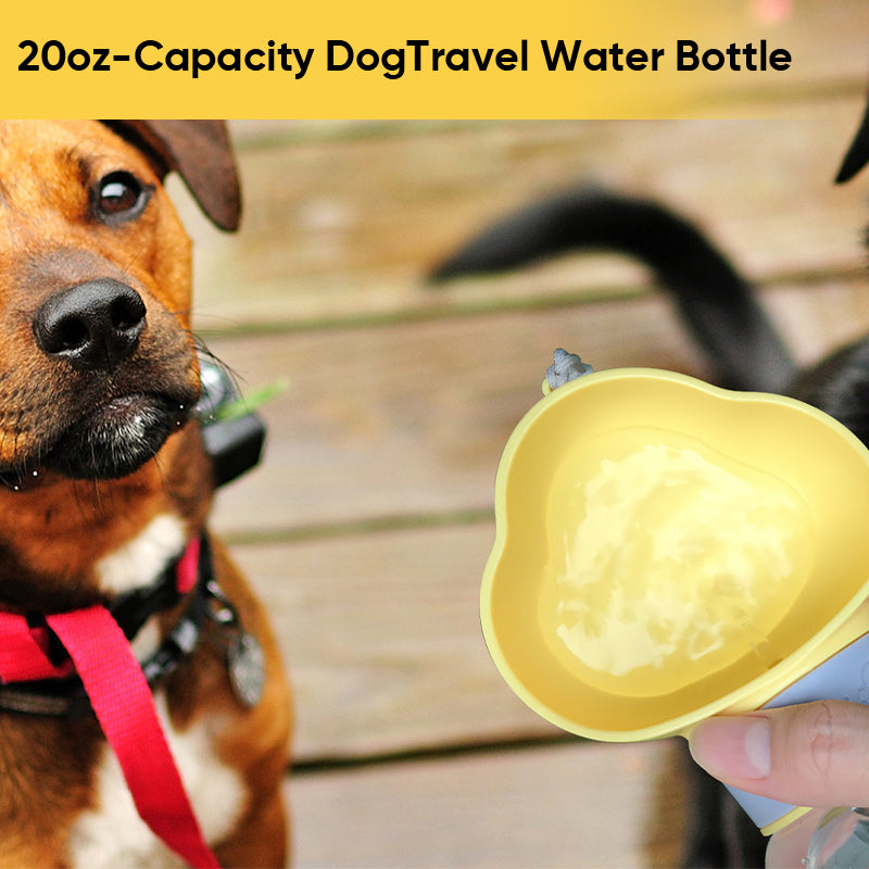 Pet Drinking Bottle