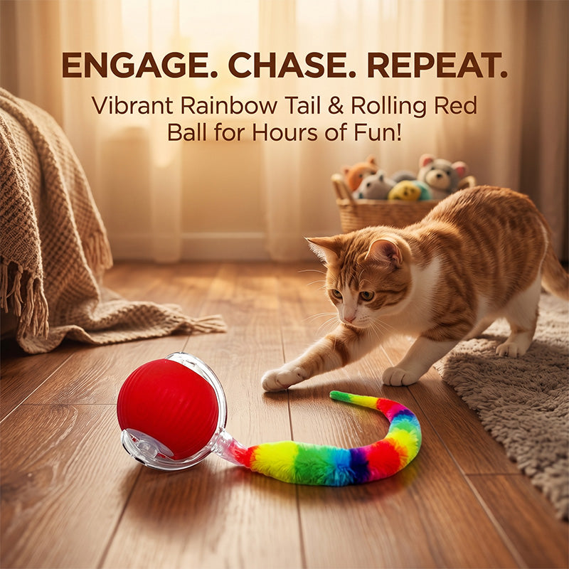 Colorful Caterpillar Cat Teaser Ball