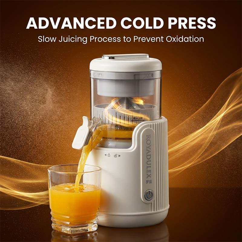 Fresh Fruit Juice Extractor