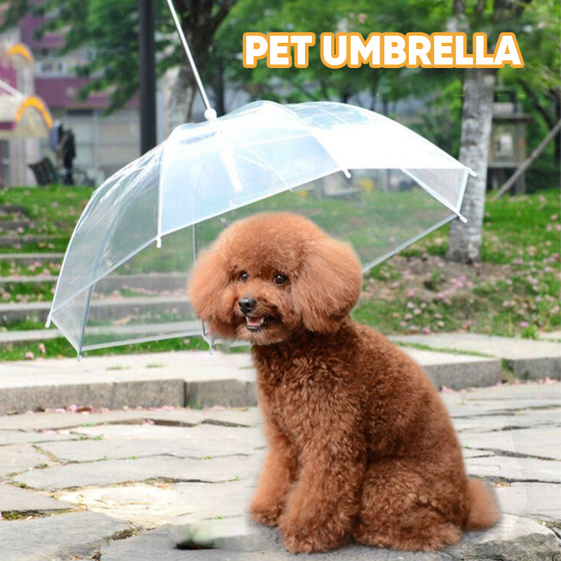 Dog Umbrella