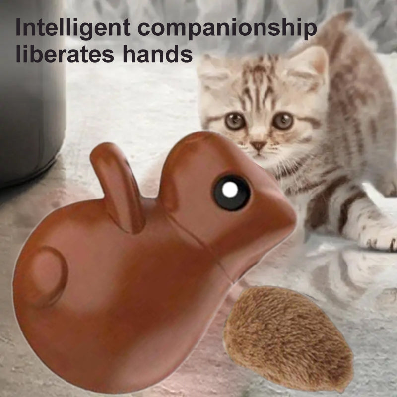 Squirrel Smart Cat Toy