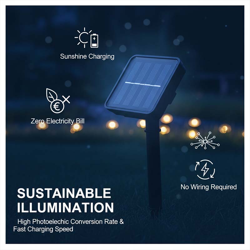 Solar pathway light