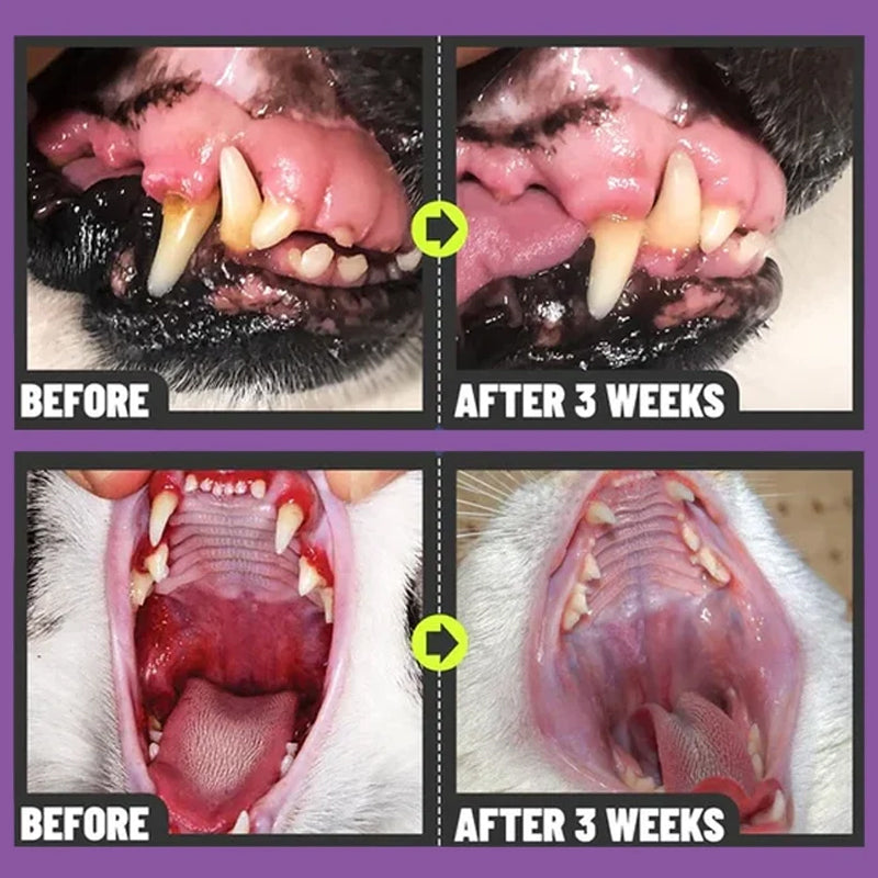 Teeth Cleaning Spray for Dogs & Cats