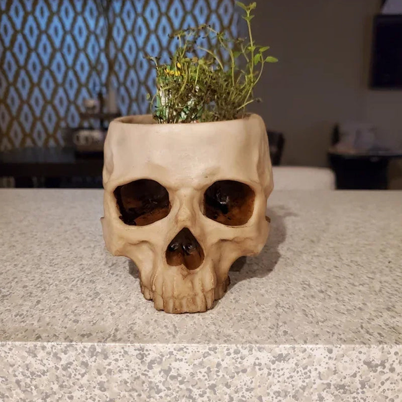 Handmade Skull Flowerpot