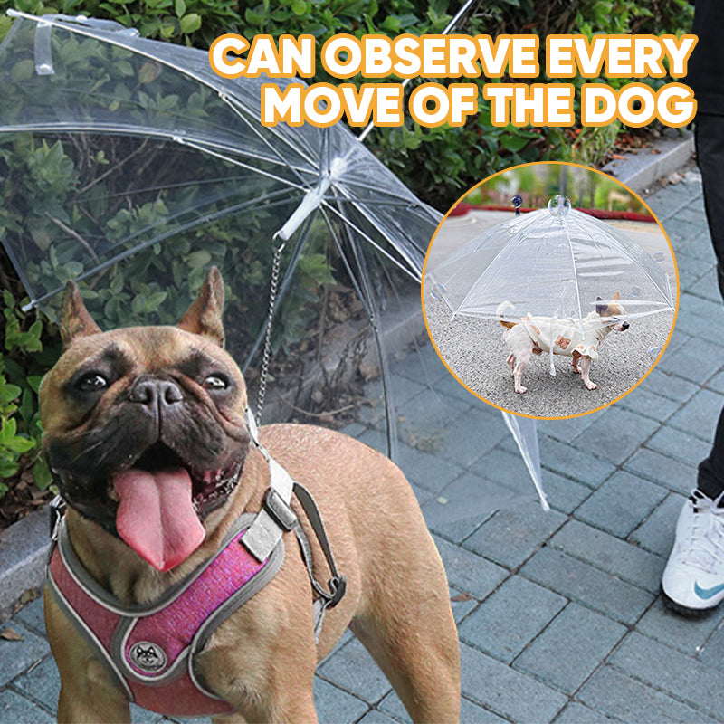 Dog Umbrella