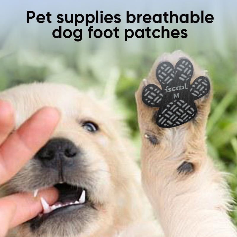 Dog Foot Patches