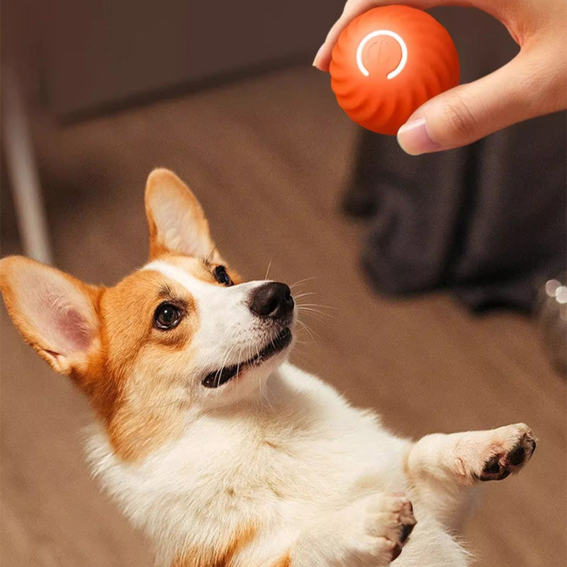 Automatic smart teasing dog ball that can't be bitten🐶