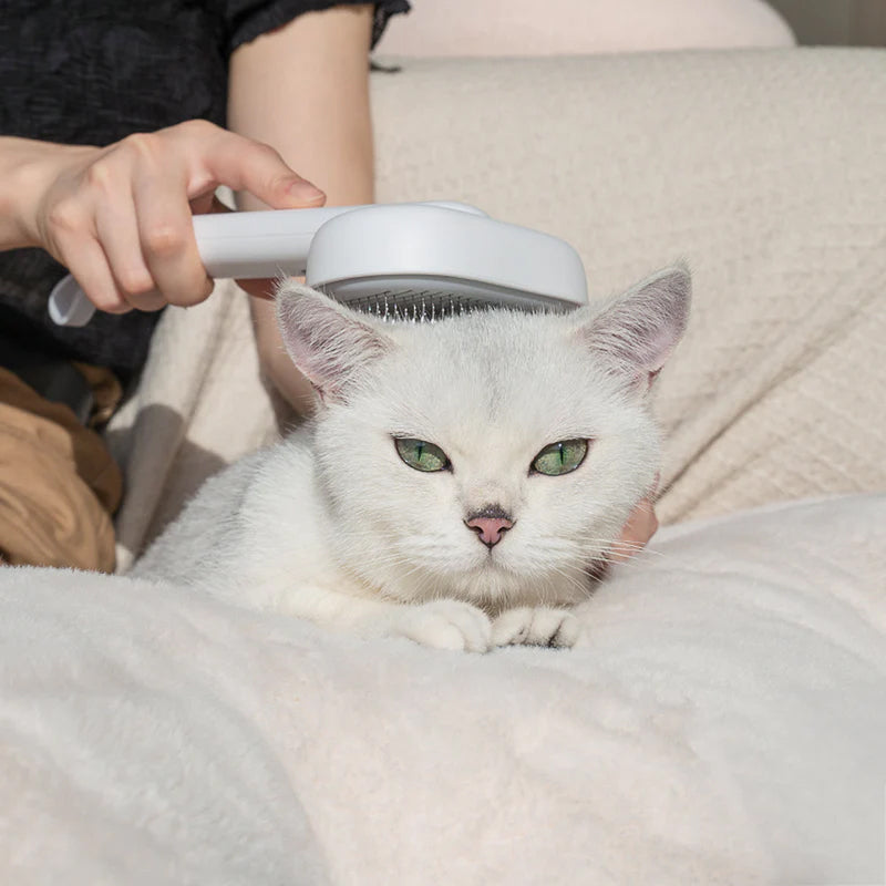 Pet Floating Hair Brush