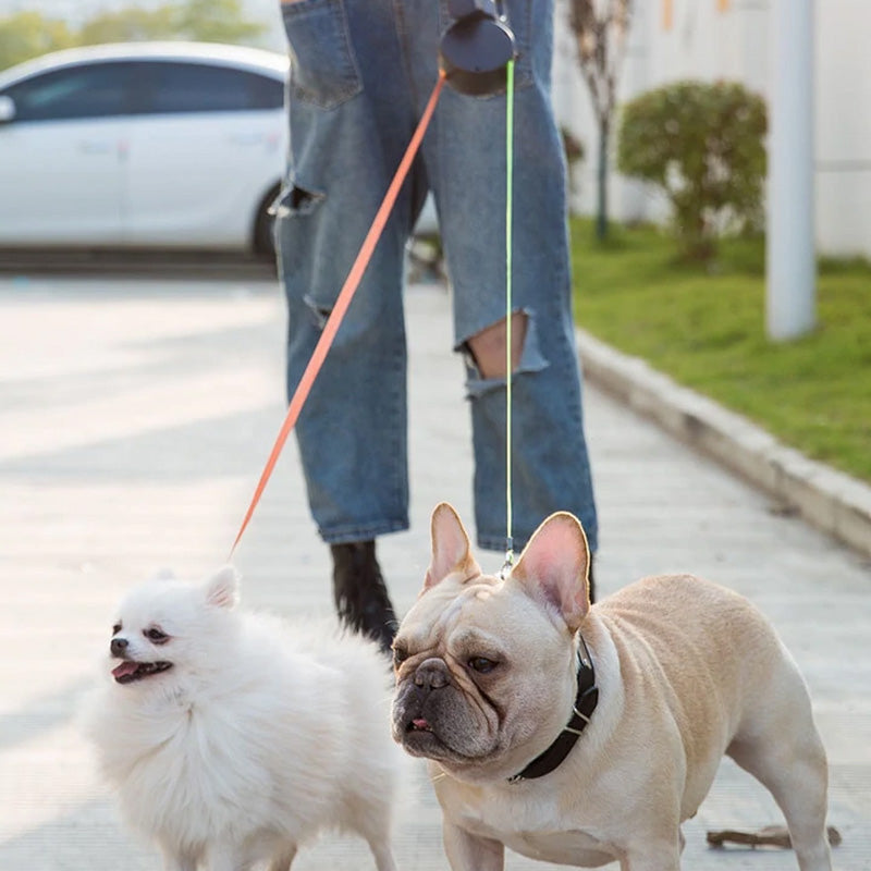 Pet automatic double leash