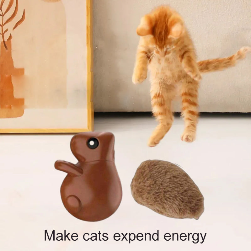 Squirrel Smart Cat Toy