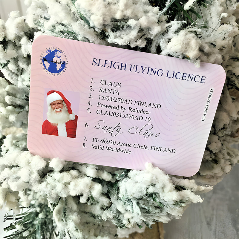 🎅Santa's Lost Drivers License|Funny Gifts For Kids