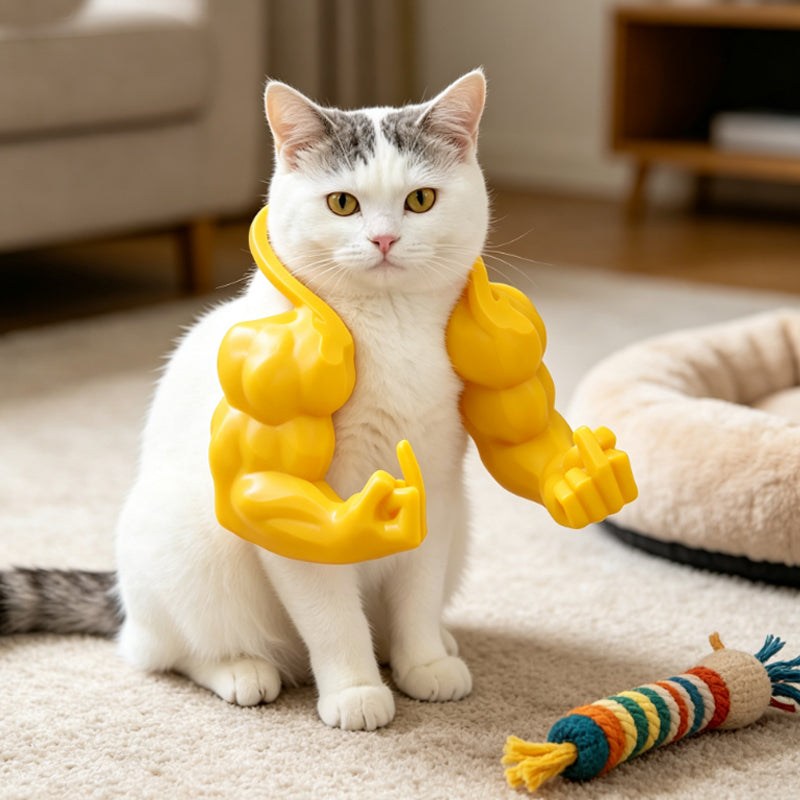 Funny Cat Muscle Arms Toy
