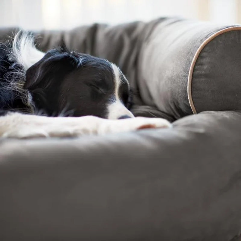 Sofa Dog Bed