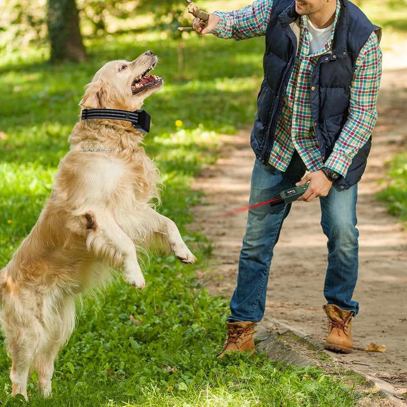 Dog Training Collar