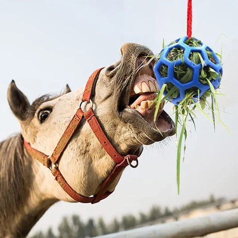 Horse Treat Ball