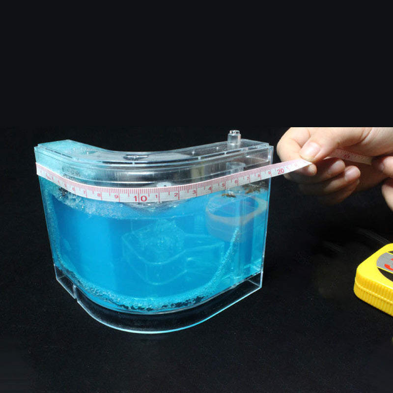 Ant Home Ecological Toys
