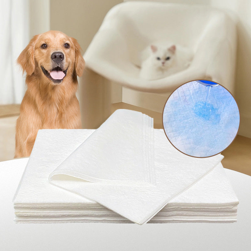 Pet Absorbent Paper