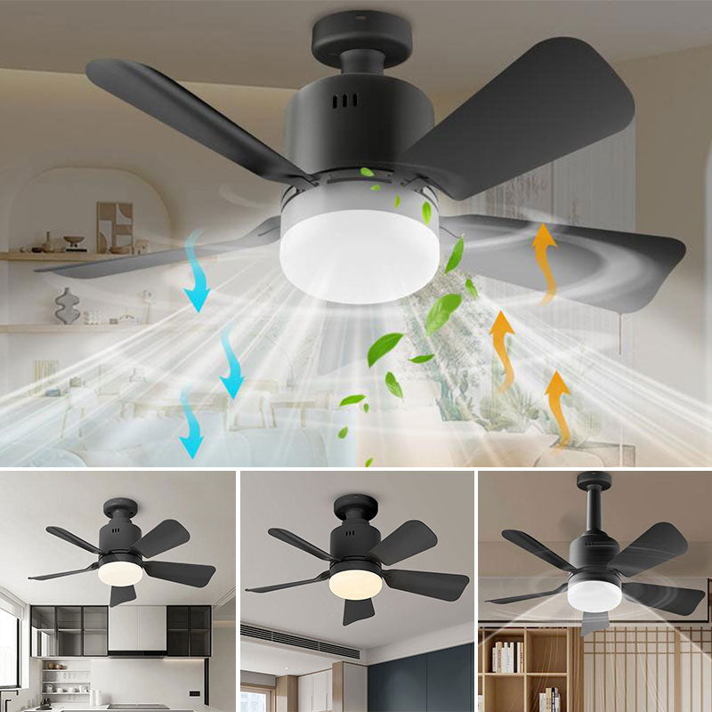 Removing the fan light