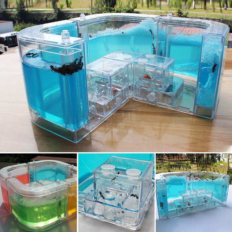 Ant Home Ecological Toys
