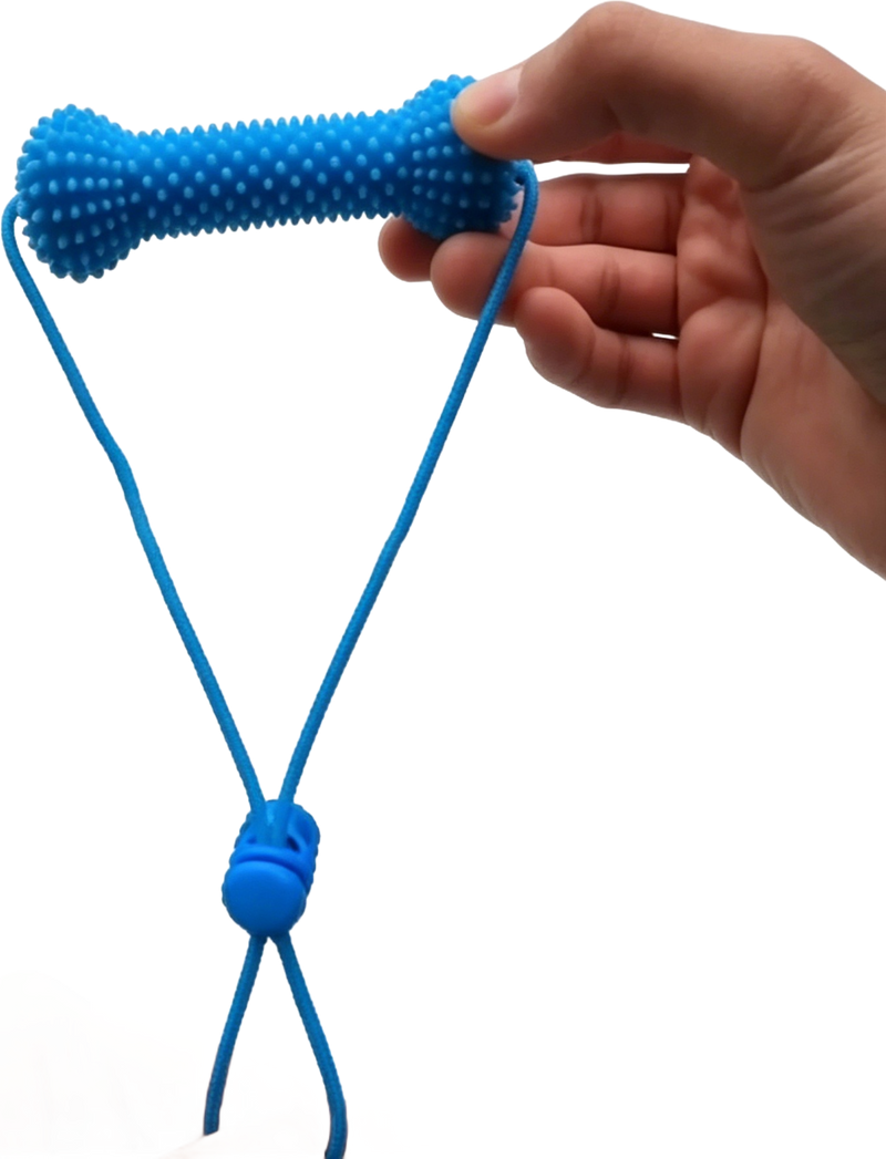 Pet Teeth Grinding and Brushing Stick