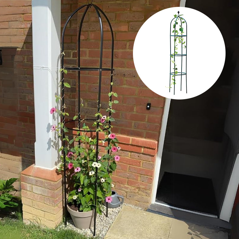 Flower Arrangement Climbing Vine Shelf