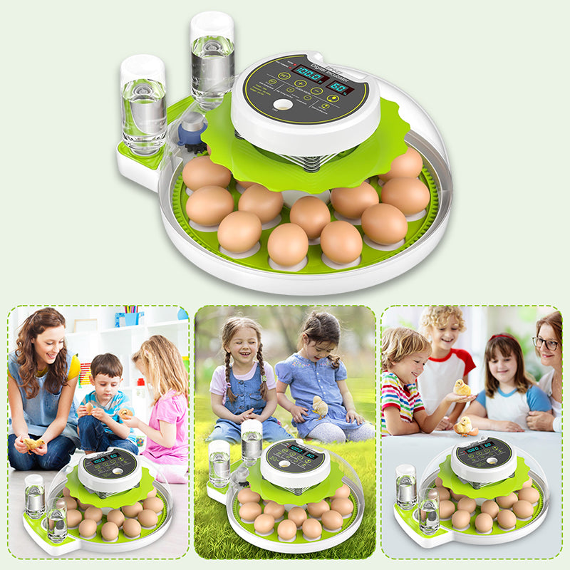 18-Piece Fully Automatic Egg Incubator