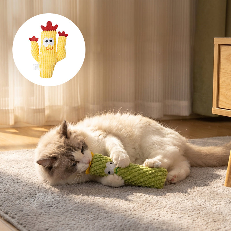 Cat Chewing Toy