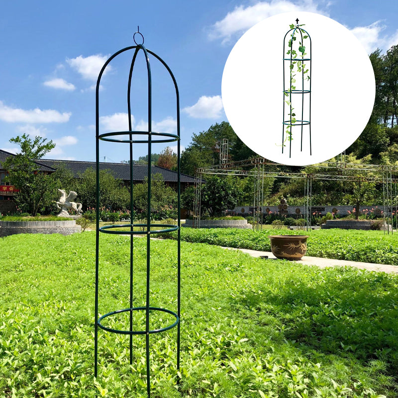 Flower Arrangement Climbing Vine Shelf