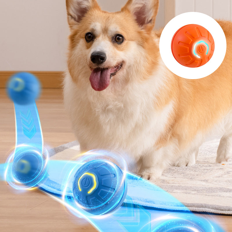 New Electric Bouncing Ball for Dogs