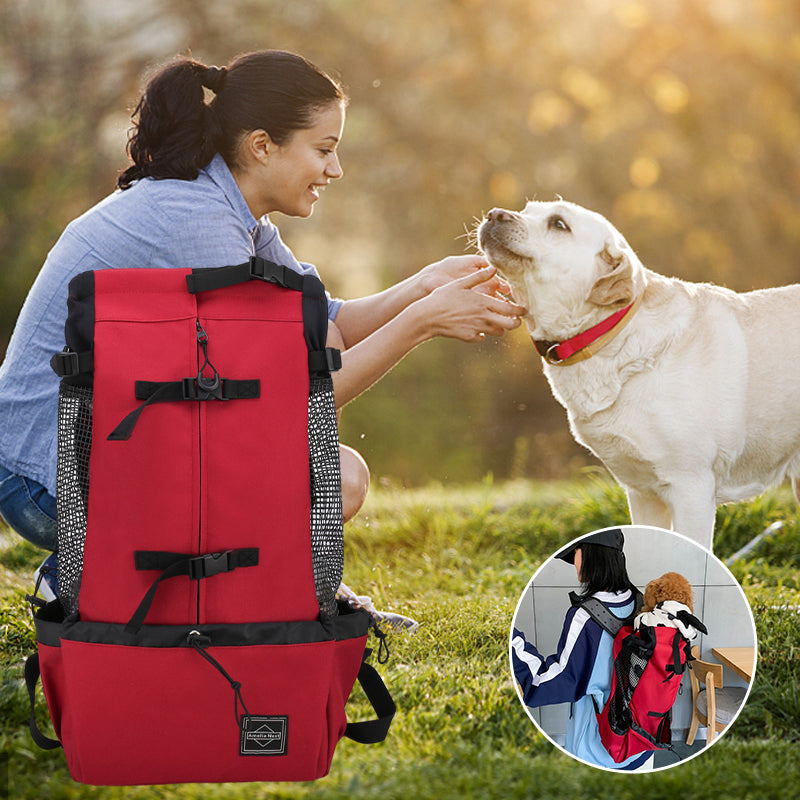 Breathable Travel Backpack For Pet Dog And Cat