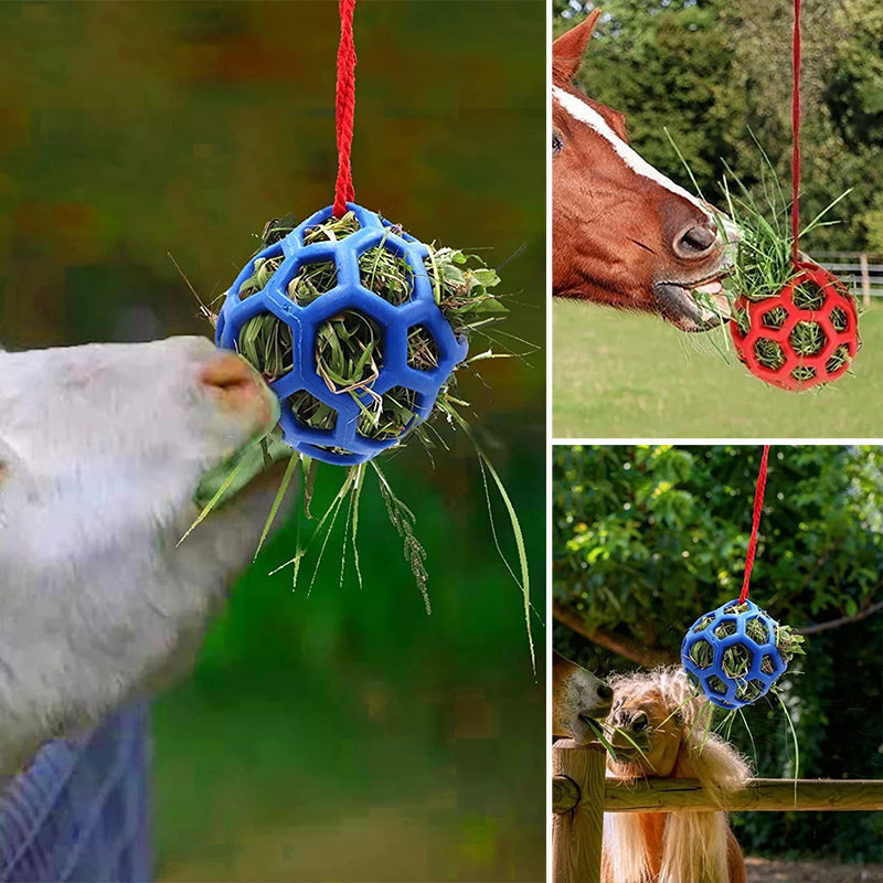 Horse Treat Ball