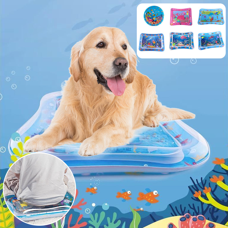 Pet Water Sensory Mat