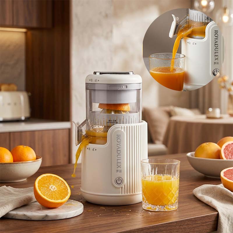 Fresh Fruit Juice Extractor
