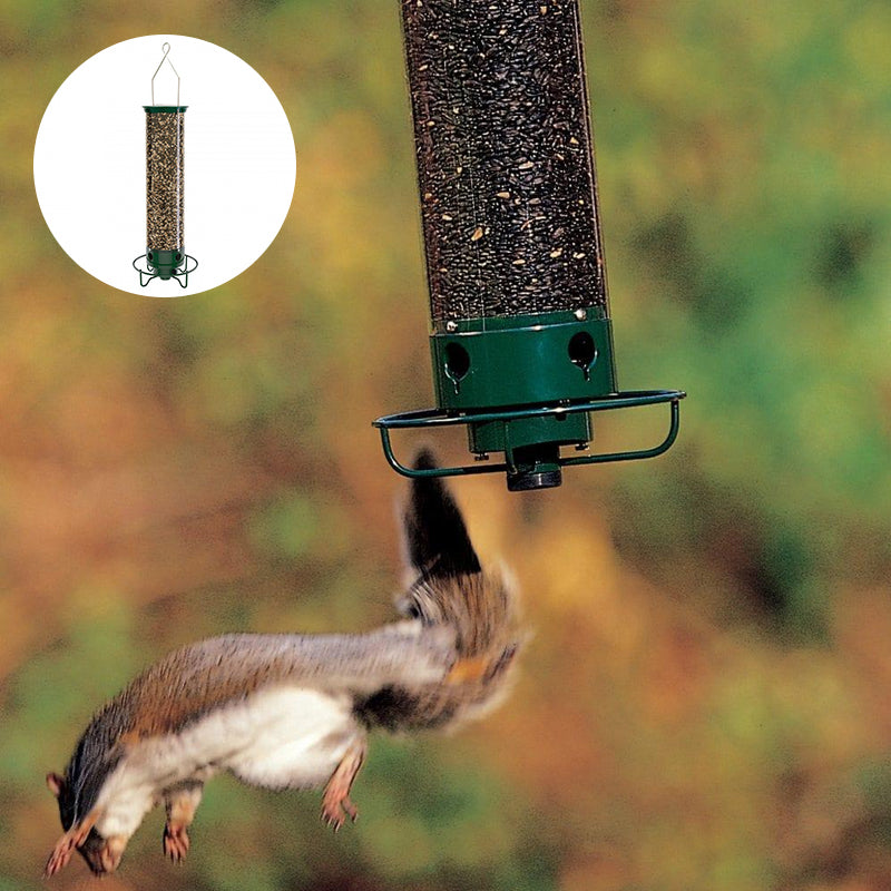 Squirrel-Proof Bird Feeder