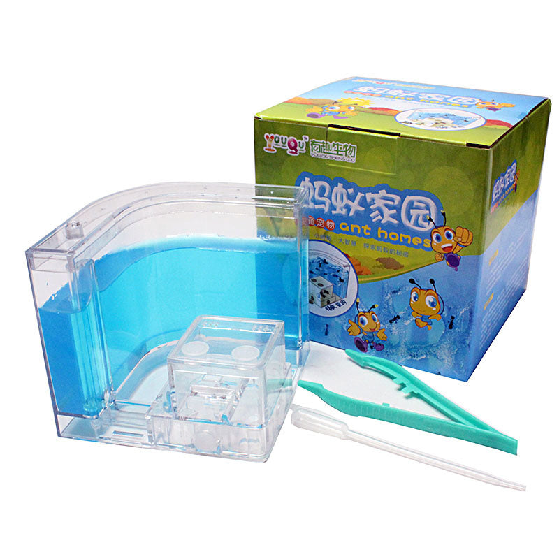 Ant Home Ecological Toys