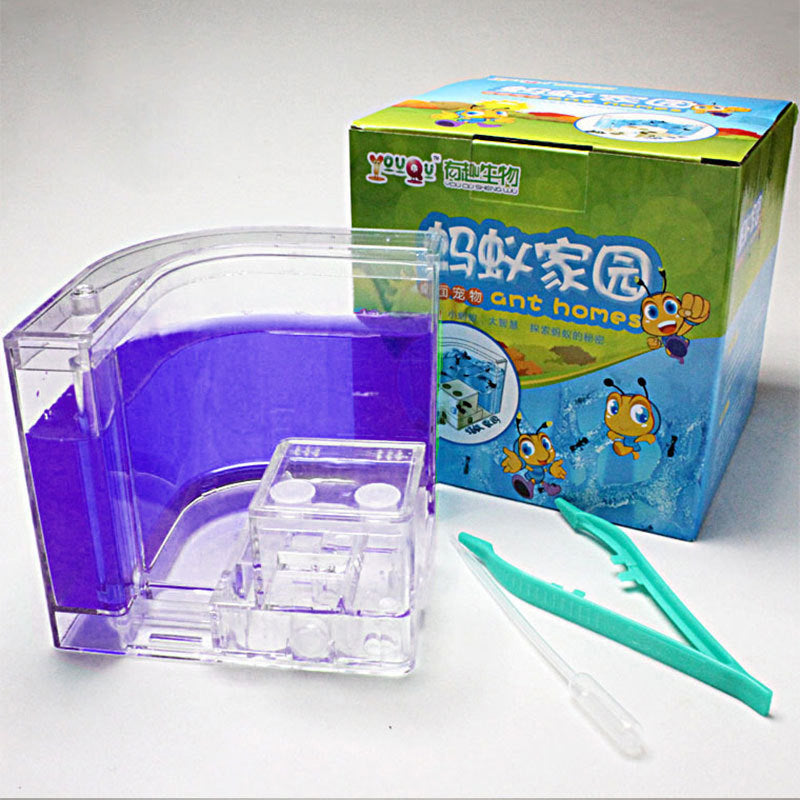 Ant Home Ecological Toys